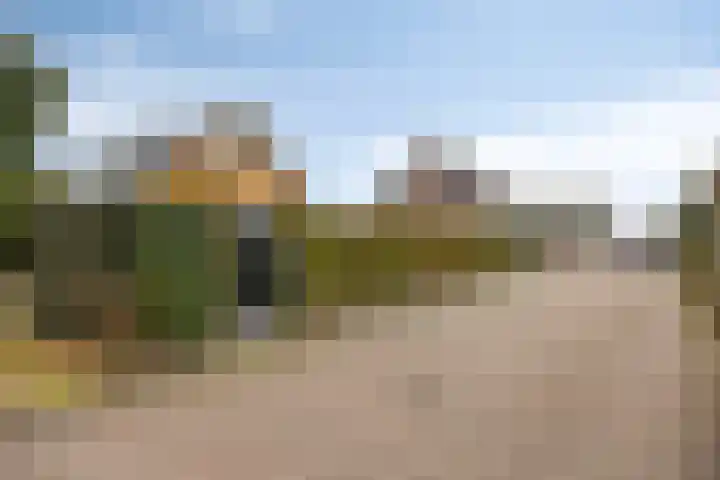 Emmalaan 7 Kaag foto 3