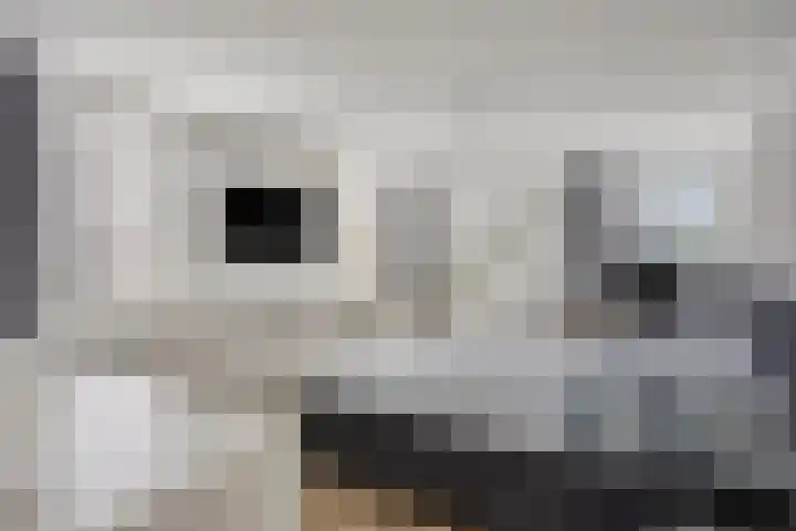 Emmalaan 7 Kaag thumbnail 38