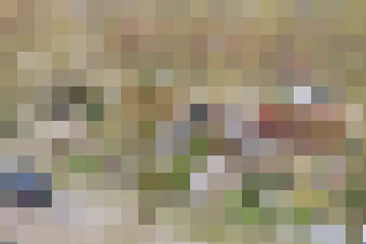 Emmalaan 7 Kaag thumbnail 4