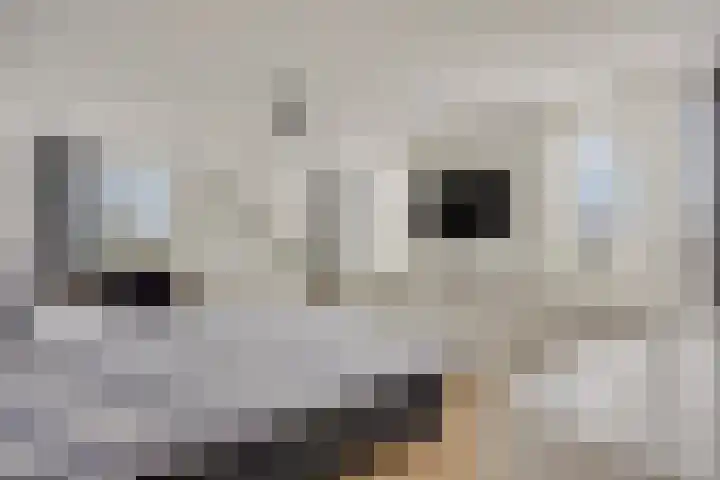Emmalaan 7 Kaag thumbnail 42