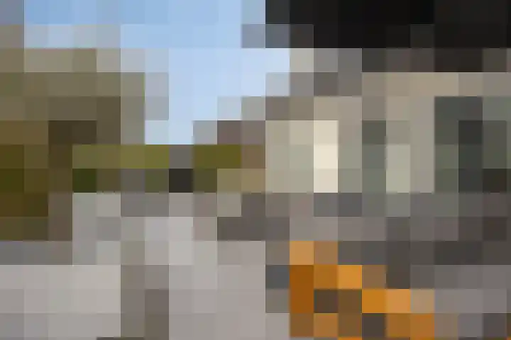 Emmalaan 7 Kaag thumbnail 52