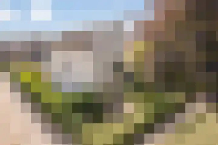 Emmalaan 7 Kaag thumbnail 53