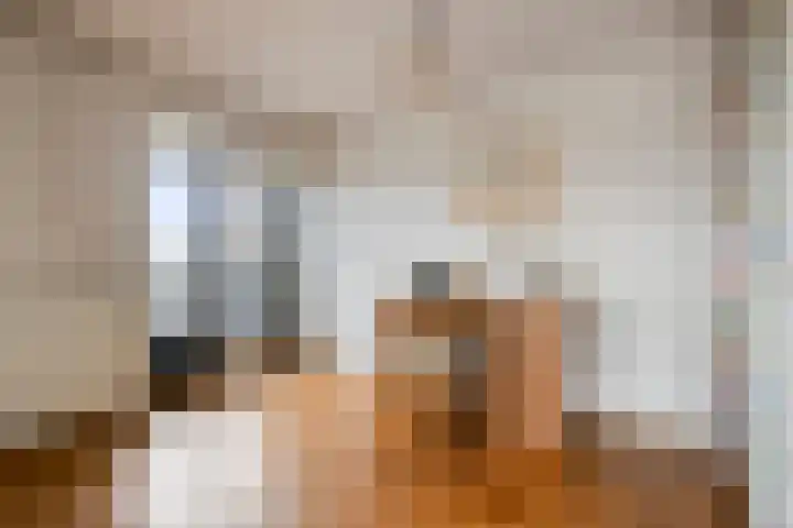 Emmalaan 71 Zutphen thumbnail 18