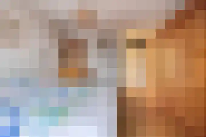 Emmalaan 71 Zutphen thumbnail 27