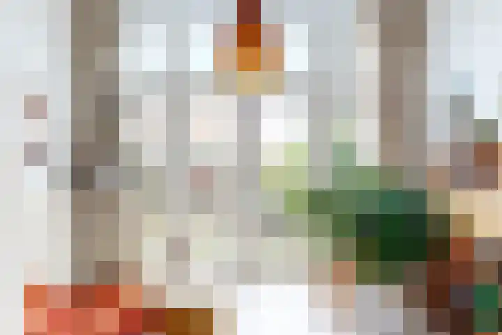 Emmalaan 8 Haarlem thumbnail 12