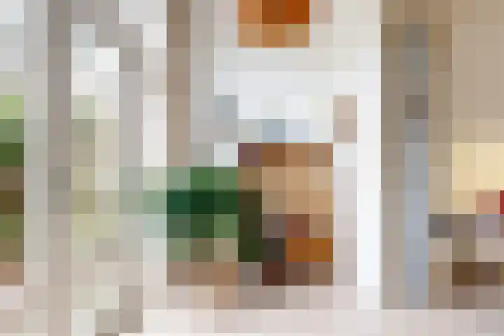 Emmalaan 8 Haarlem thumbnail 13