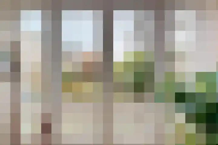 Emmalaan 8 Haarlem thumbnail 15
