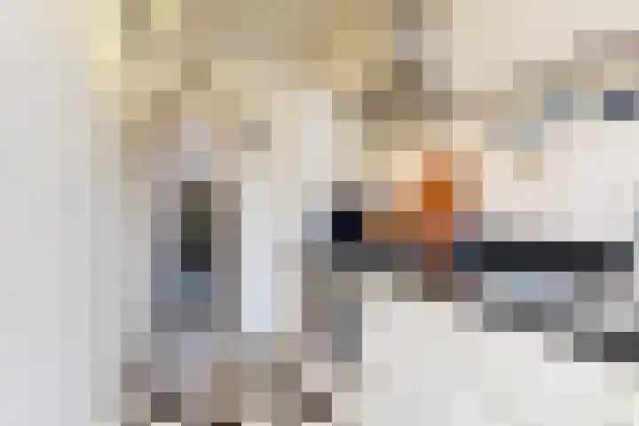 Emmalaan 8 Haarlem thumbnail 17