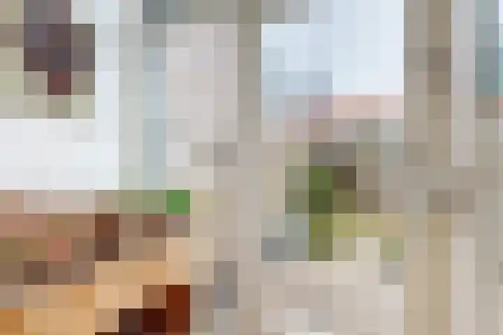 Emmalaan 8 Haarlem thumbnail 19