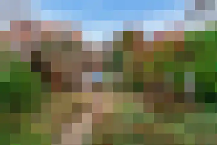 Emmalaan 8 Haarlem thumbnail 20