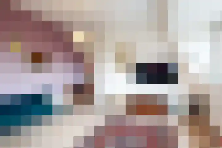 Emmalaan 8 Haarlem thumbnail 40