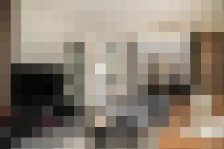 Emmalaan 9 Dodewaard thumbnail 5