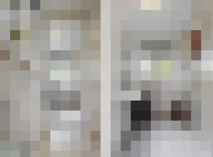 Emmalaan 9 Sassenheim thumbnail 15