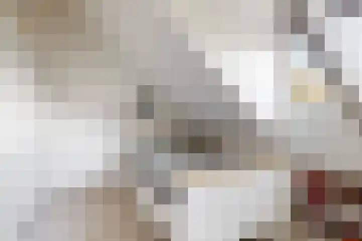 Emmalaan 9 Sassenheim thumbnail 27