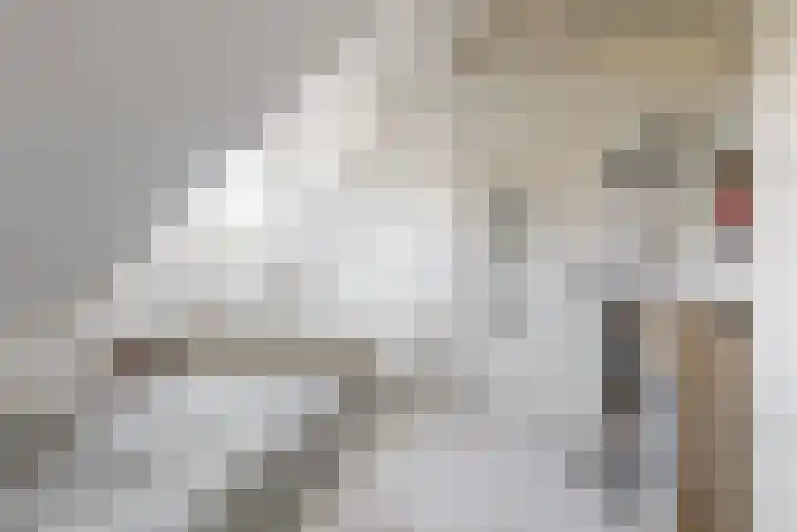 Emmalaan 9 Sassenheim thumbnail 28