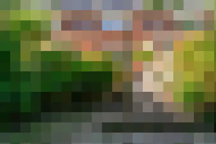 Emmalaan 9 Sassenheim thumbnail 34