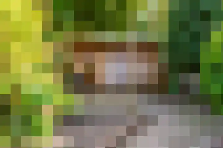 Emmalaan 9 Sassenheim thumbnail 37