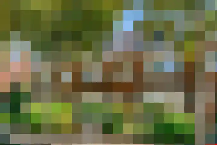 Emmalaan 9 Sassenheim thumbnail 50