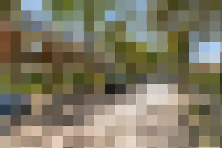 Emmalaan 9 Sassenheim thumbnail 52