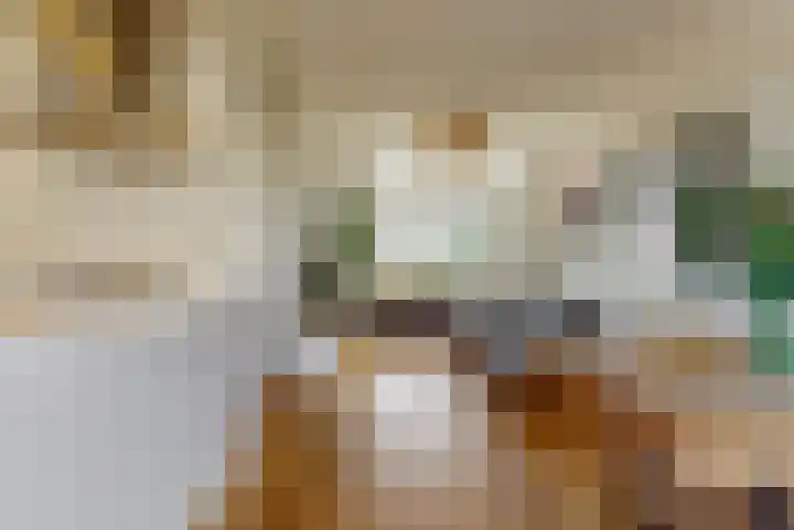 Emmalaan 9 Sassenheim thumbnail 9