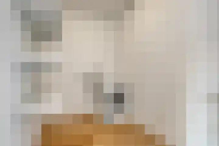 Emmapark 121 Pijnacker thumbnail 19