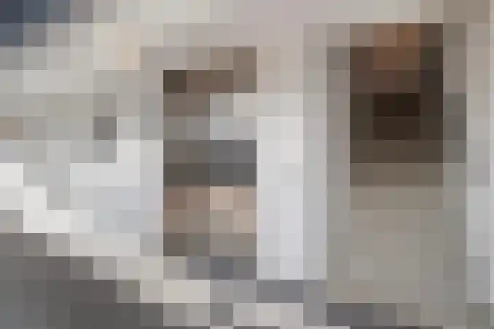 Emmapark 121 Pijnacker thumbnail 8