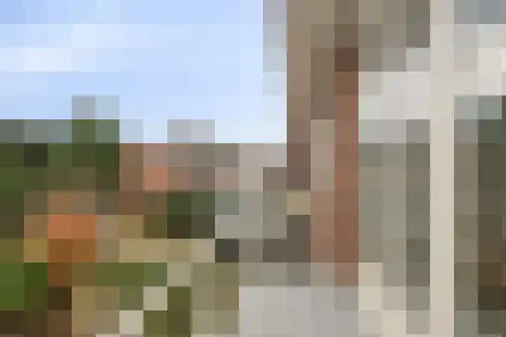 Emmapark 34 Pijnacker thumbnail 26