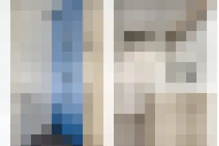 Emmapark 34 Pijnacker thumbnail 30