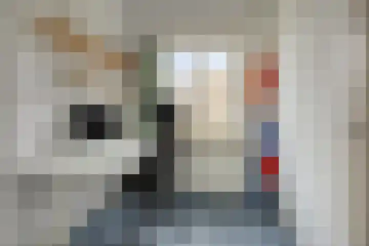 Emmapark 34 Pijnacker thumbnail 33