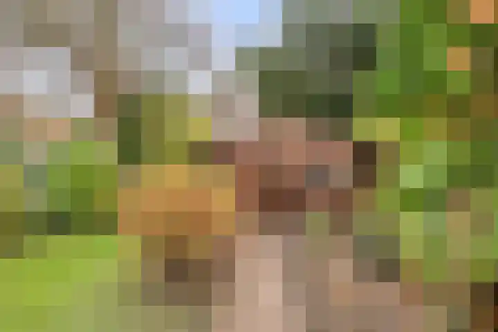 Emmapark 34 Pijnacker thumbnail 4