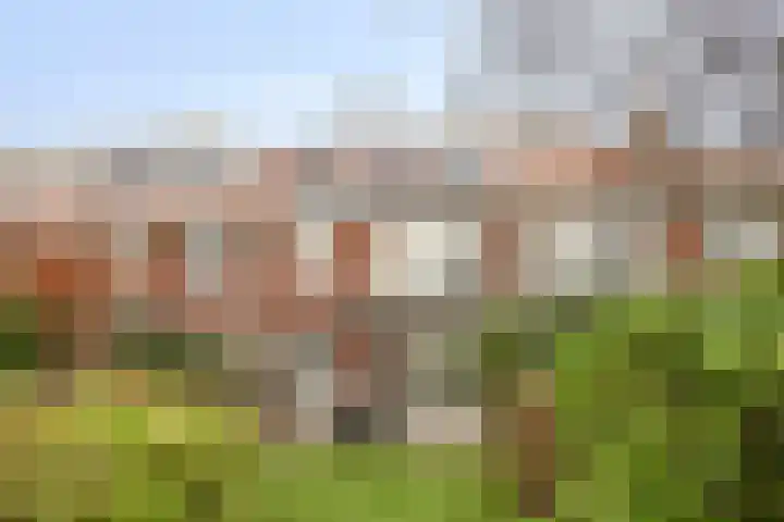 Emmapark 34 Pijnacker thumbnail 45