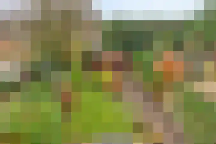 Emmapark 34 Pijnacker thumbnail 47