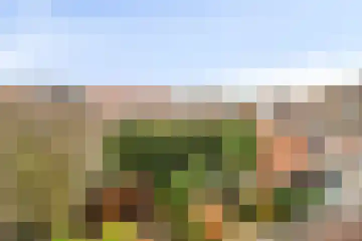 Emmapark 34 Pijnacker thumbnail 49