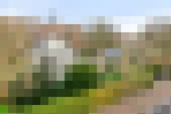 Emmapark 34 Pijnacker thumbnail 51