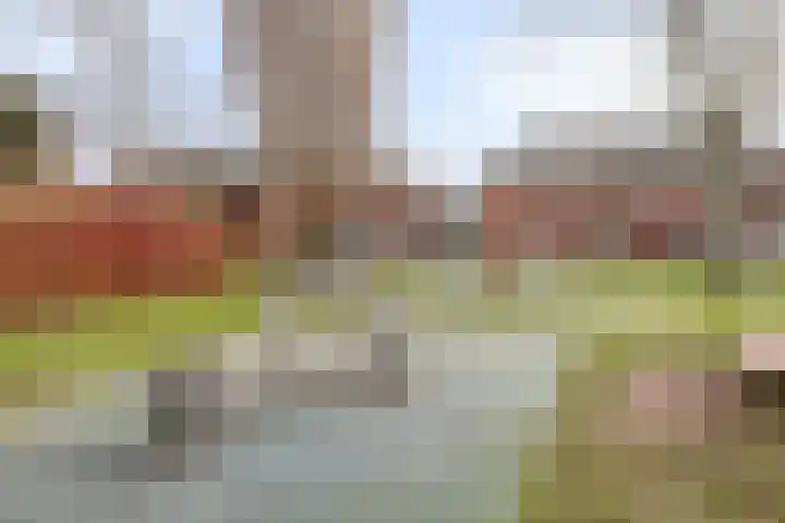 Emmapark 34 Pijnacker thumbnail 57