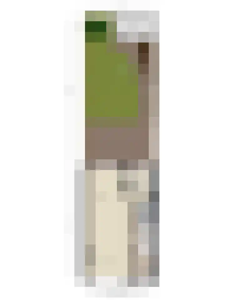 Emmapark 34 Pijnacker thumbnail 60