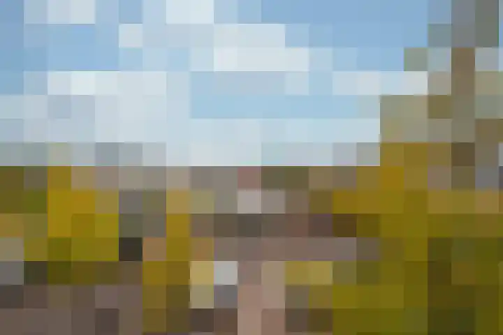 Emmaplein 34 Zeist thumbnail 14