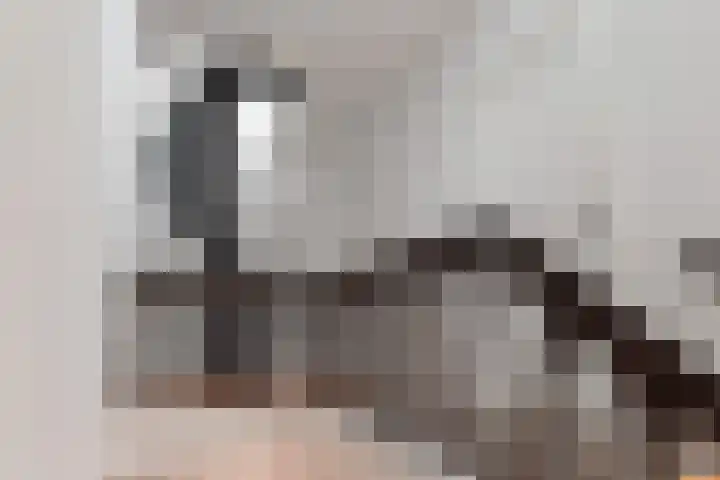 Emmaplein 7 B Amsterdam thumbnail 39