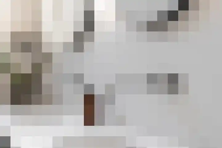Emmaplein 7 B Amsterdam thumbnail 51