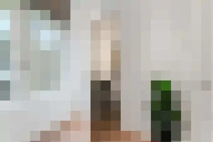Emmaplein 7 B Amsterdam thumbnail 76
