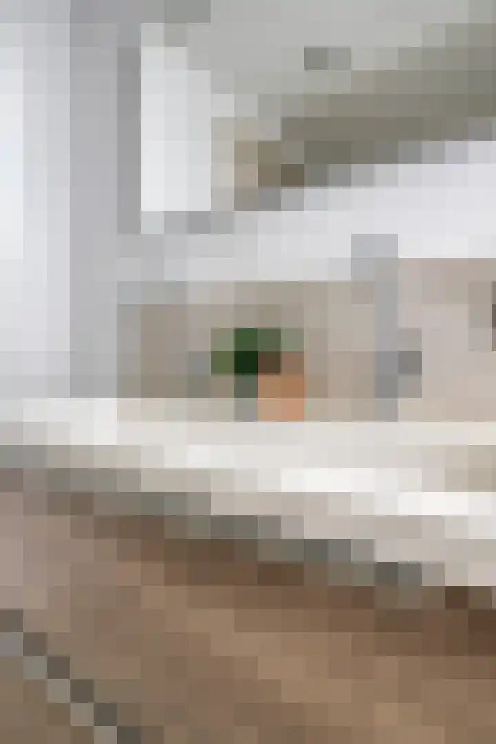 Emmaplein 81 's-Hertogenbosch thumbnail 19