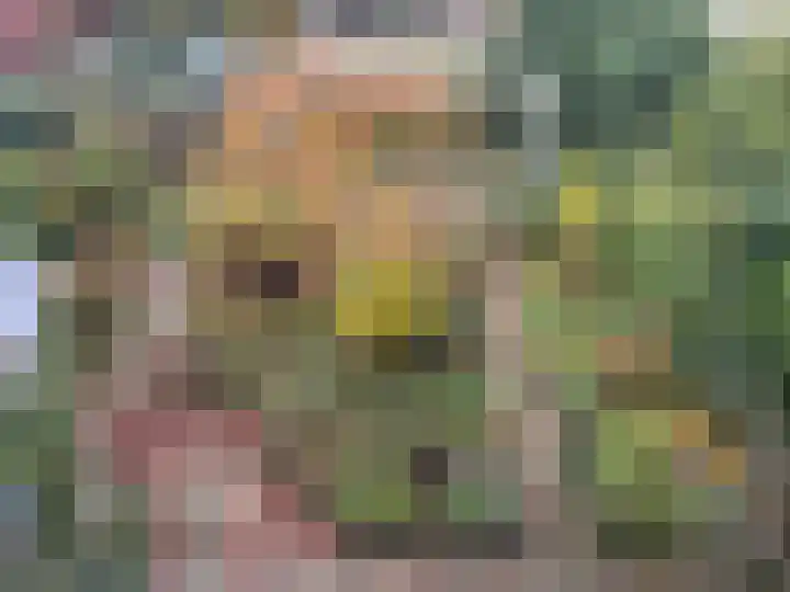 Emmasingel 108 Groenlo thumbnail 17