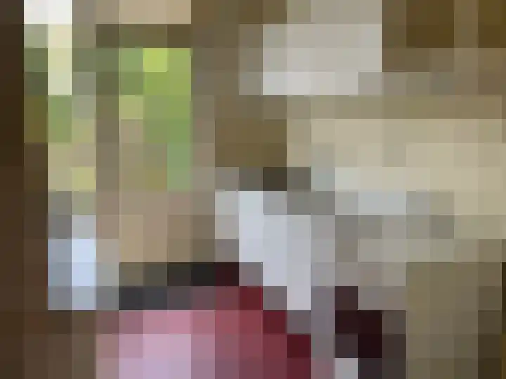 Emmasingel 108 Groenlo thumbnail 4