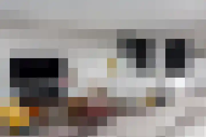 Emmasingel 31 95 Eindhoven thumbnail 12