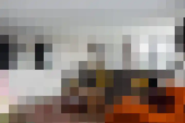 Emmasingel 31 95 Eindhoven thumbnail 13
