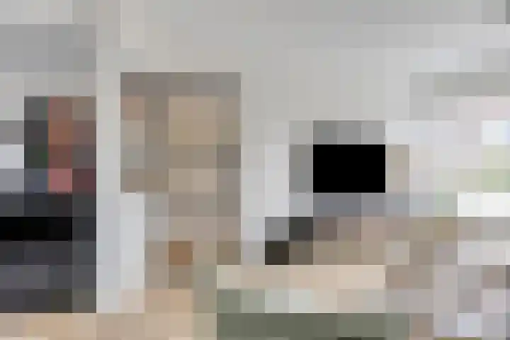 Emmasingel 48 Groenlo thumbnail 12