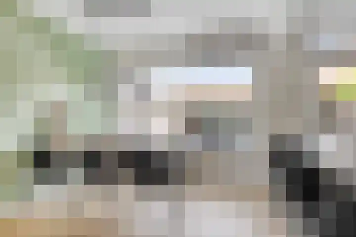 Emmasingel 48 Groenlo thumbnail 13