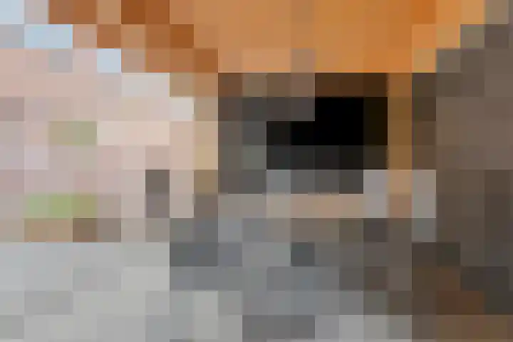 Emmasingel 48 Groenlo thumbnail 36