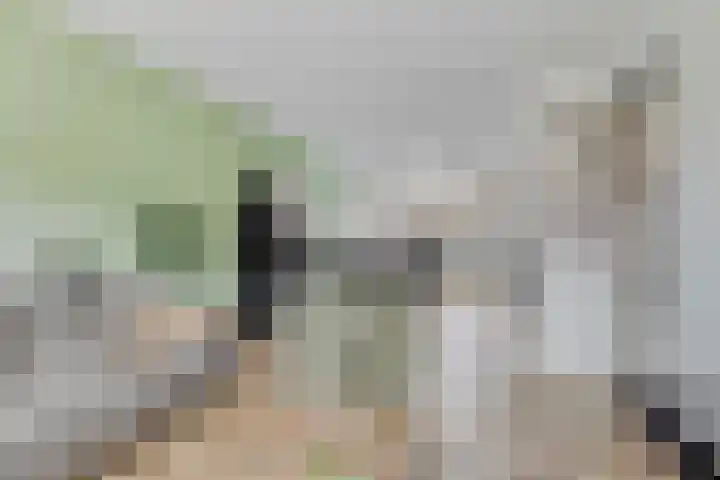 Emmasingel 48 Groenlo thumbnail 9