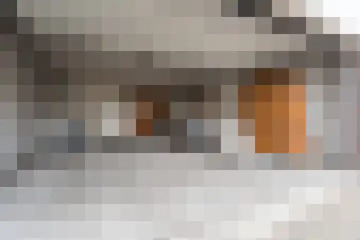 Emmasingel 87 C Weert thumbnail 55